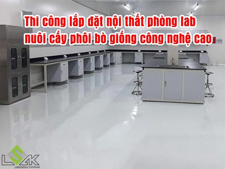 00 anh dai dien