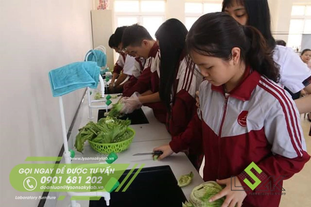 Phòng thí nghiệm trường học Trường Tiểu Học, Trung Học Cơ Sở và Trung Học Phổ Thông Hoàng Việt