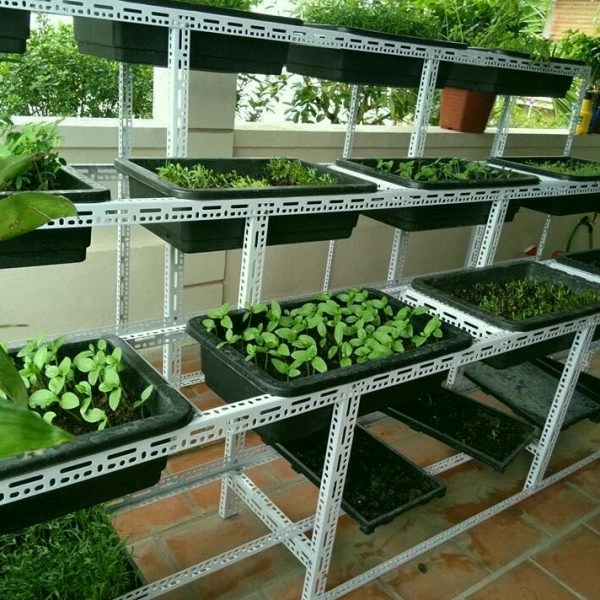 Kệ sắt v lỗ 4 tầng thường sử dụng trồng cây